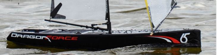 pic of rg 65 dragon force