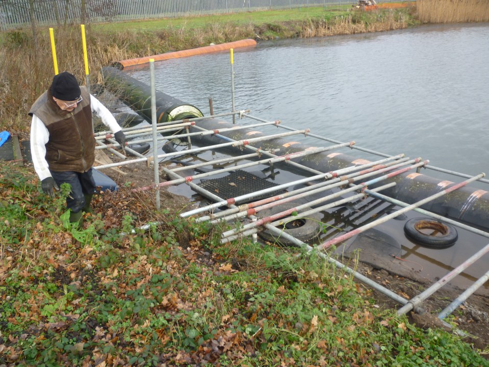 Gordon the Grafter P1030320