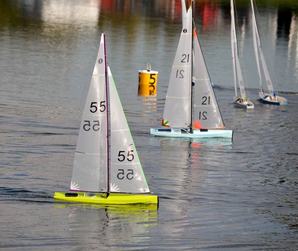 image by Sue Brown, Catsails